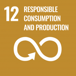 Agenda 2030 Hållbarhetsmål 12